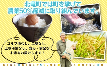 白米 ゆめぴりか 5kg 新米 予約 / ごはん こめ 米 お米 北海道 北海道米 ※10月～順次発送 【sun400-yume-r5】