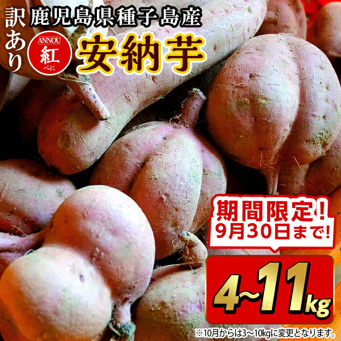 【ふるさと納税】＜期間限定！先行予約受付中！2025年10月下旬頃から12月中の発送予定＞《訳あり》内容量が選べる！種子島産 安納芋＜紅＞(期間限定容量・4～11kg) 国産 安納芋 紅 種子島 芋 さつま芋 焼芋 焼き芋 安納いも 野菜【うずえ屋】