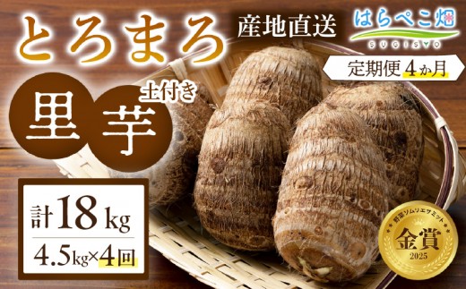 【定期便4ヶ月】里芋『とろまろ』土付き 4.5kg・H140
