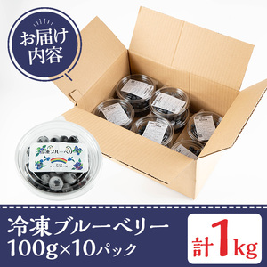 y527 《数量限定》冷凍ブルーベリー(計1kg・100g×10パック) 冷凍 国産 九州産 鹿児島県産 くだもの 果物 フルーツ シャーベット ジャム フローズン ベリー おやつ デザート 【体験型