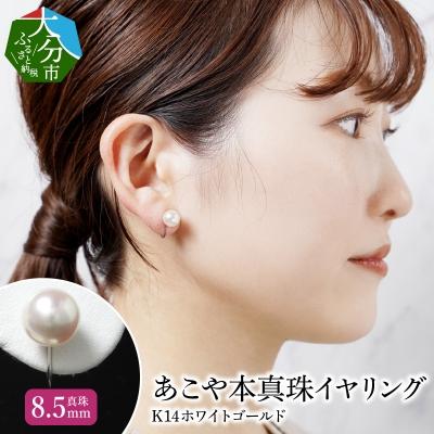 ふるさと納税 大分市 あこや本真珠イヤリング 真珠8.5mm 14Kホワイトゴールド_R14113