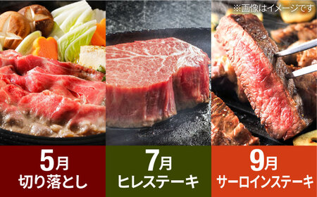 【R8年2月以降発送】【全6回定期便】赤いちご3種と佐賀牛のセット / いちご 牛肉 [IZZ027]