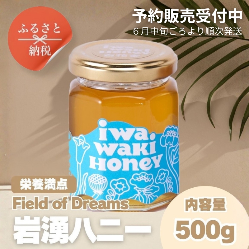 岩湧ハニー 純粋百花はちみつ 500g×1本セット  国産天然はちみつ 大阪府 河内長野市 ギフト 百花蜜 ビタミン ミネラル 酵素  パンケーキ ヨーグルト アサイー 朝食 おやつ 手土産 コーヒー 紅茶 ドリンク 珈琲 プレゼント 岩湧山 トースト はちみつ 蜂蜜 ハチミツ