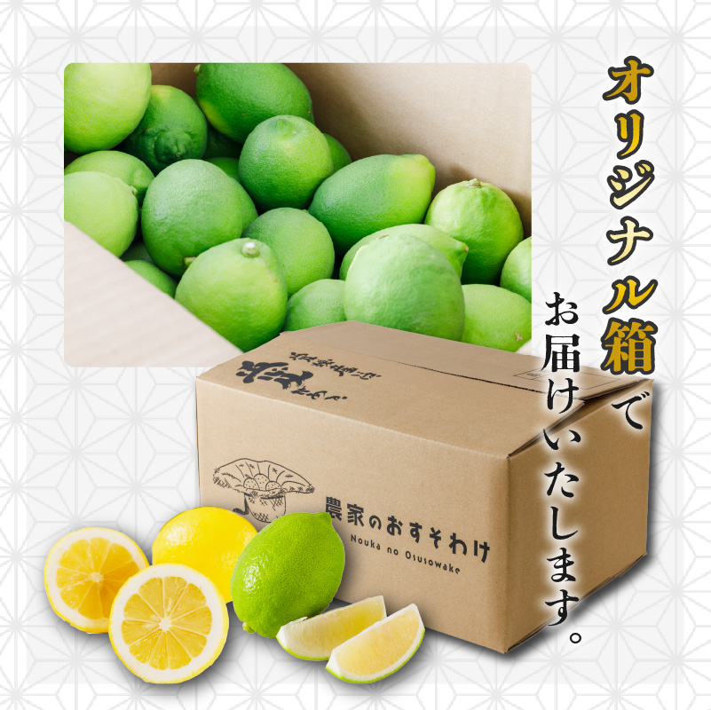 【先行予約】 【2026年1月上旬から発送】 家庭用 イエローレモン 約2.5kg 防腐剤 ワックス 不使用｜ レモン 檸檬 国産レモン 柑橘 産地直送 レモン レモン レモン