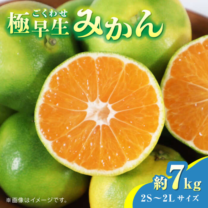 【ふるさと納税】【先行予約】極早生みかん 約7kg　2S〜2Lサイズ　【くまふる】[ZBG055]