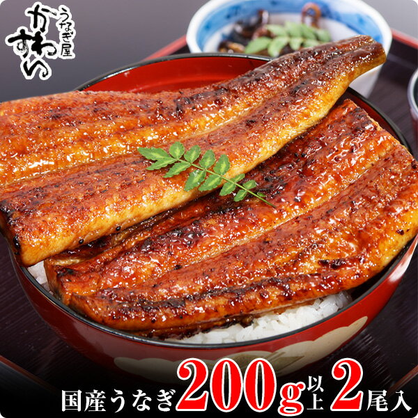 【ふるさと納税】 超特大 国産 うなぎ 蒲焼き 2本セット（1尾200〜229g）〈 うなぎ屋 かわすい 〉 送料無料 ボリューム満点 肉厚蒲焼き 高評価レビュー 人気 ギフト 贈答 土用丑の日 和歌山県 有田市