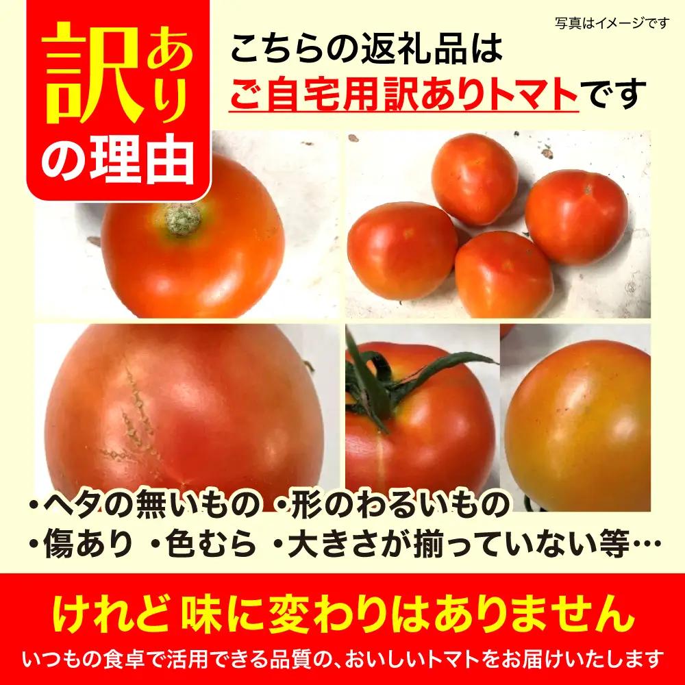 【9月～12月】訳あり 中玉 トマト 約3.5kg×1箱 | 訳あり トマト 中玉トマト 3.5kg 1箱 産地直送 野菜 国産 福島県 いわき産 とまと 数量限定 規格外 不揃い フレッシュ ジュー