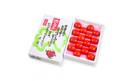 【先行予約】フルーツトマト特選ギフト 約800g <2027年1月〜発送> / 特Aランク トマト フルーツトマト 池トマト 糖度10度以上 高糖度 高知県産 ギフト 箱入り 贈答用 贈り物 健康【池