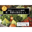 【ふるさと納税】【野菜ソムリエプロ厳選】萩・季節の食材セット【定期便お試し1回コース】　野菜・野菜セット・果物類・フルーツ