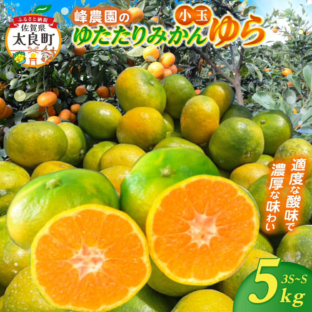 【ふるさと納税】峰農園のゆたたりみかん【ゆら】小玉 5kg 極早生温州みかん 早生温州みかん さがみかん 太良みかん 温州みかん ミカン 蜜柑 フルーツ 果物 ミネラル豊富 有明海の潮風 贈答用 お中元 お歳暮 産地直送 月の引力が見える町 太良町 ふるさと納税 返礼品 LB5