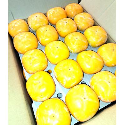 ふるさと納税 佐渡市 秋の味覚　佐渡産 おけさ柿　36〜40個入り