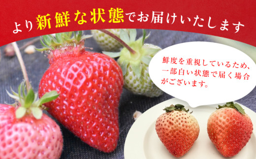 あまおうDX等級