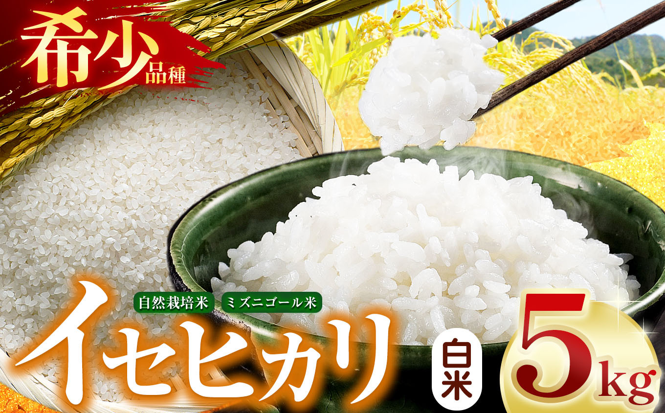 
            【令和7年産】自然栽培 イセヒカリ 5kg 白米 長野県産 | 米 イセヒカリ 希少 自然栽培 白米 玄米 コメ お米 おこめ 信州米 5kg 肥料不使用 天日干し 塩尻市 長野県 信州
          