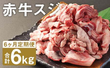 【6ヶ月定期便】 赤牛 スジ 1kg×1パック×6回 《お申し込みの翌月発送》牛肉 肉 あか牛 牛スジ 牛すじ 煮込み カレー 熊本県産 冷凍