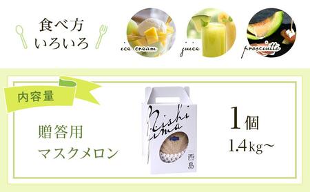 【先行予約】マスクメロン（贈答用） 1玉入 青肉品種 高級メロン！ ／ マスクメロン 果物 フルーツ ギフト 農家直送 NE014
