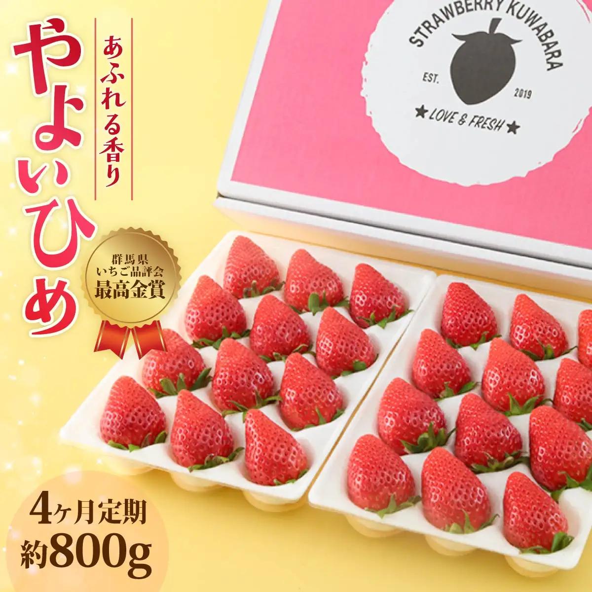 いちご やよいひめ 約800g 4ヶ月定期便いちご