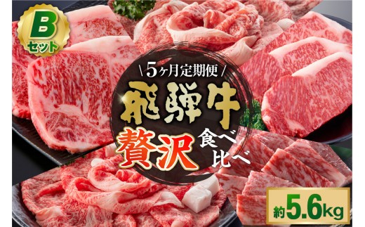 『飛騨牛』贅沢食べ比べセットB　定期便※5回に分けてのお届けとなります。（サーロインステーキ1,080g・ロースすき焼き用1,200g・ロースしゃぶしゃぶ用1,200g・ロース焼肉用1,200g・ヒレステーキ960g）【岐阜県 可児市 サーロイン ステーキ ロース すき焼き しゃぶしゃぶ 焼肉 ヒレステーキ A5等級 ブランド牛 和牛 霜降り お取り寄せ グルメ 】