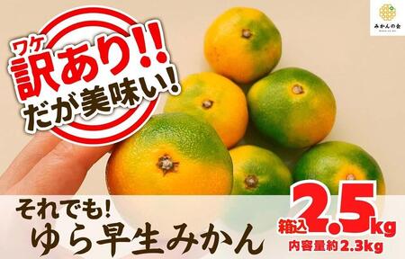 訳あり ゆら早生 みかん 箱込2.5kg (内容量 2.3kg)サイズミックス 有田みかん 和歌山県産 【みかんの会】