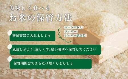 【令和7年産 新米 】いせひかり 精米 5kg 新米