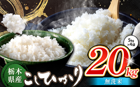 栃木県産 コシヒカリ 無洗米 20kg | お米 こめ ご飯 ごはん おにぎり おむすび 米 送料無料 定期便 単品 こしひかり 栃木県 銘柄米 ブランド米 栃木県共通返礼品