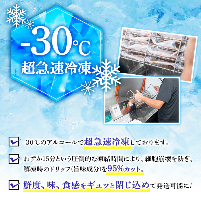 A02 ＜2024年9月発送分(9月30日迄に発送)＞鹿児島特産 鶏のたたき(約1kg・200g×5P) 鳥刺し 鶏刺し 肉 鳥刺 タタキ 鶏肉 親鶏 とり トリ とりにく 刺身 鶏刺身 おつまみ む