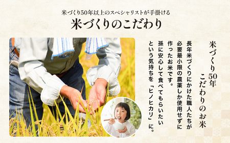 ゆうちゃんファームのお米 5kg ヒノヒカリ | 新米 減農薬栽培 精米直送 令和7年新米 大分県産 中津 和食 朝ごはん お米 米 おこめ こめ 精米 白米 九州産 国産 国産米 ひのひかり 大分県