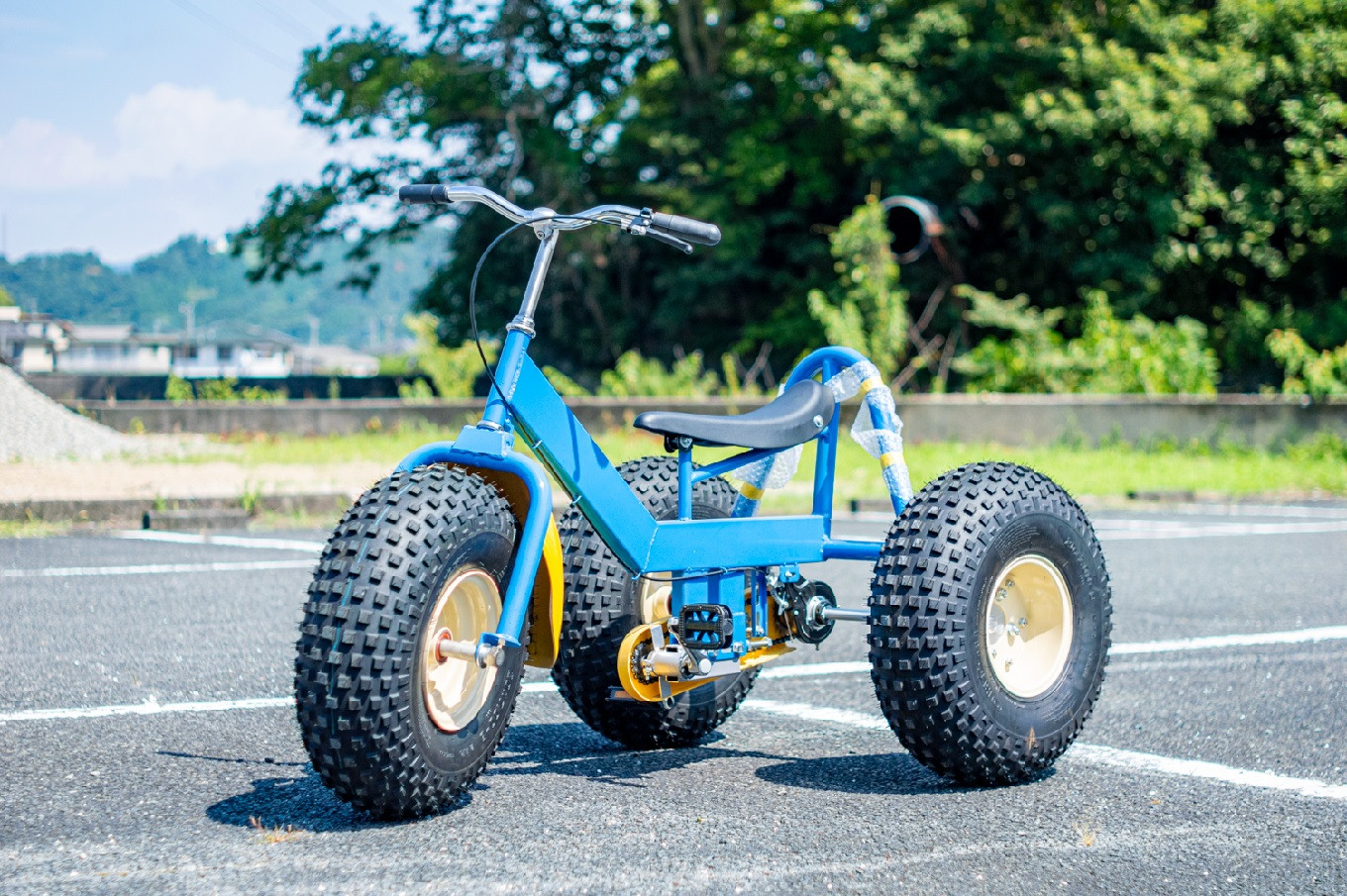 
おもしろ自転車 バギーサイクル 【自転車 サイクリング タイヤ 伊豆 静岡】90-002
