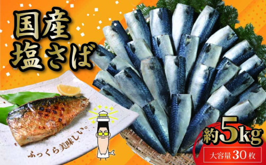 国産 塩サバフィレ 30枚 約 5kg 鯖 さば 塩鯖 塩さば フィレ フィーレ 切身 切り身 冷凍 ストック バラ凍結 小分け 国産さば 国産鯖 国内産 海鮮 魚貝 魚貝類 魚介 魚介類 海の幸 おかず ご飯 焼き鯖 焼きさば 手軽 つまみ 和食 アレンジ 人気 大容量 たっぷり ギフト お取り寄せ グルメ 贈答 贈り物 プレゼント ふるさと納税 ふるさと納税さば 千葉県 銚子市 株式会社 大成
