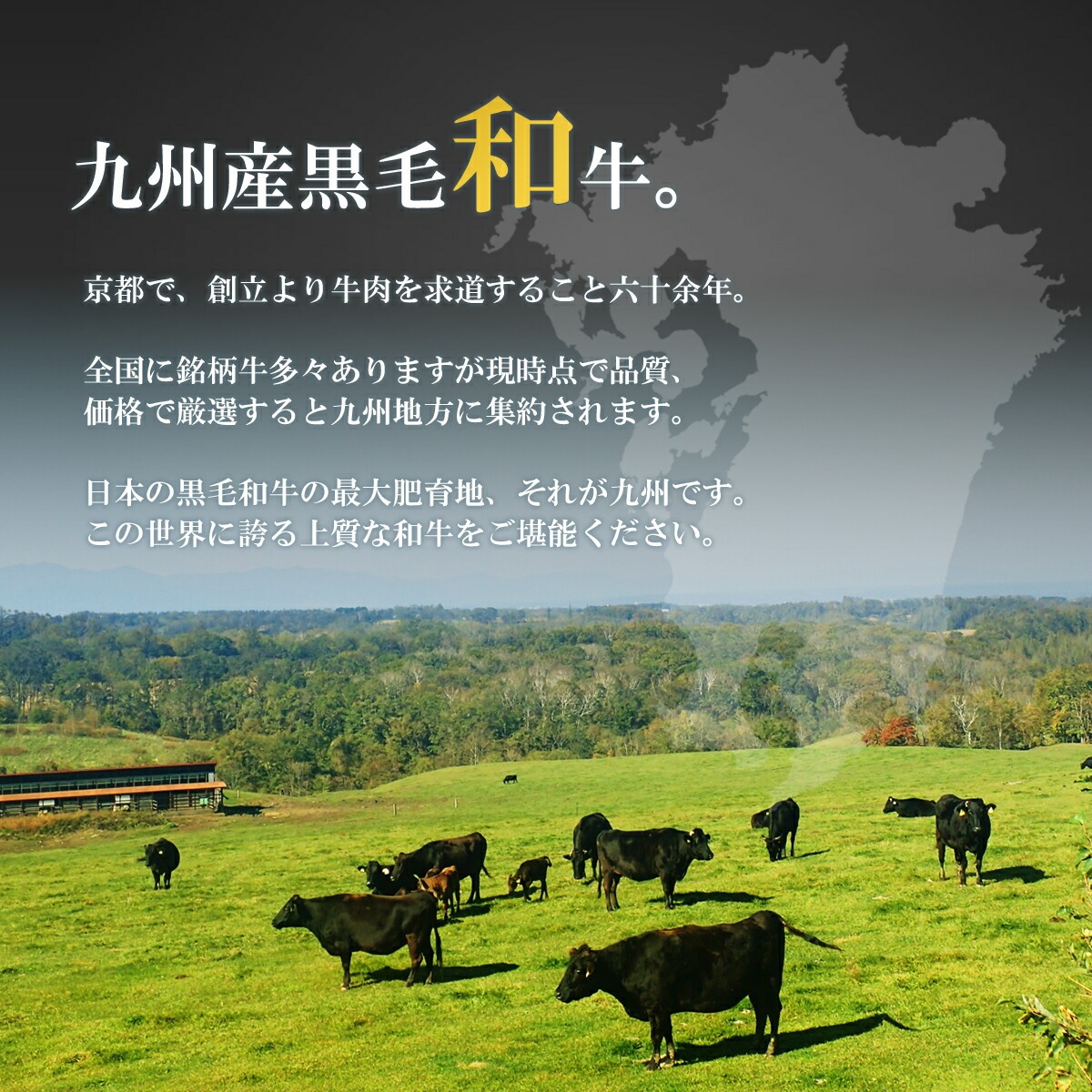 【九条ねぎと黒毛和牛のハンバーグ】 150g×10個 九条ねぎ ハンバーグ 小分け 個包装 九州産黒毛和牛使用 牛肉 和牛 黒毛和牛 霜降り 肉 牛 ねぎ 葱 九条ネギ 特選 手作り 簡単調理 冷凍 