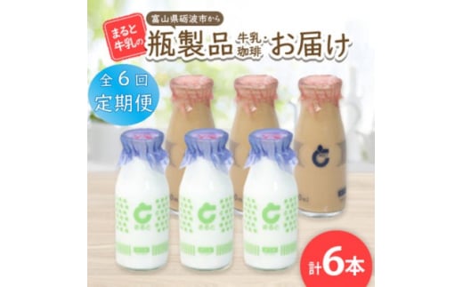 ＜毎月定期便＞＜まると牛乳＞富山県砺波市から瓶製品　牛乳・珈琲　6本セット全6回【4061516】