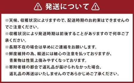 【3回定期便】いちご「あまおう」 約270g×2パック 計約1.62kg 苺 イチゴ 果物 フルーツ 【2027年1月上旬順次発送開始予定】