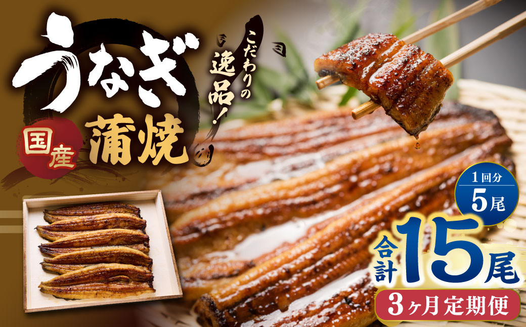 
            【3ヶ月定期便】 蒲焼きうなぎ 5尾 （国産） ／ 鰻 うなぎ ウナギ 蒲焼き 蒲焼 うなぎの蒲焼 鰻の蒲焼き たれ付き 自家製たれ 山椒 冷蔵 国産
          