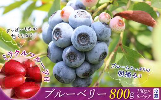 ミラクルフルーツ付き♪朝摘みブルーベリー800gセット