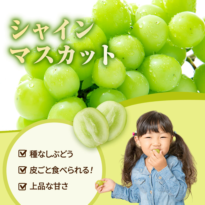 ぶどう 定期便 2回コース 食べ比べ ピオーネ シャインマスカット 各約2kg ご家庭用 辻葡萄園 葡萄 フルーツ 果物 岡山県産