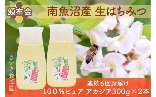 
            【頒布会】さいき養蜂園　　天然ピュア蜂蜜　アカシア３００ｇ×２本　6か月連続お届け
          