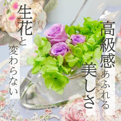 ふるさと納税 美浜町 ガラスの靴のプリザーブドフラワー(ライトパープル) |  | 01