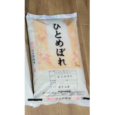 ふるさと納税 宮城県 宮城県産「ひとめぼれ」精米　計10kg