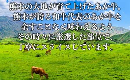 あか牛 切り落とし スライス 約500g （約250g×2パック） 赤牛 和牛 国産和牛 牛肉 お肉 肉 切落し 薄切り 小分け 熊本県 熊本市 冷凍