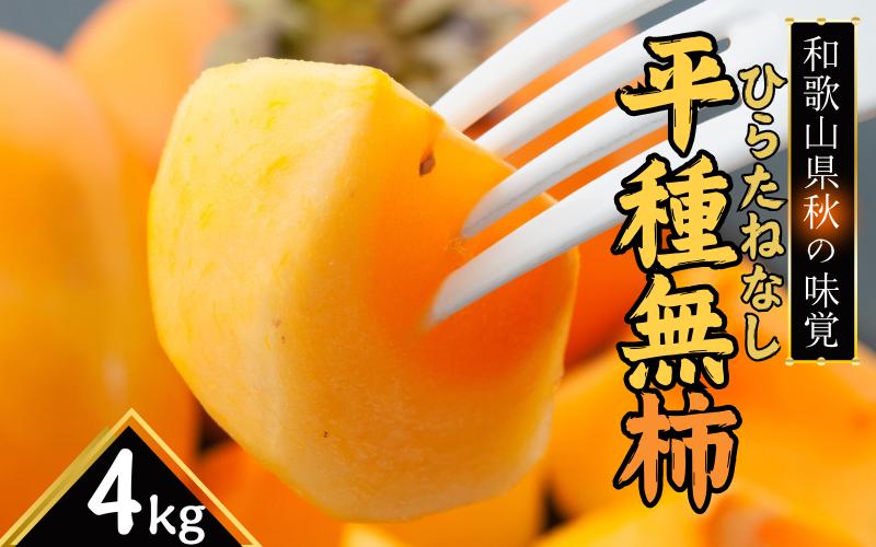 
             和歌山秋の味覚　平核無柿（ひらたねなしがき）約4kg　化粧箱入　※2025年10月上旬頃～10月下旬頃順次発送（お届け日指定不可）/柿 果物 フルーツ くだもの 先行予約【uot701A】
          