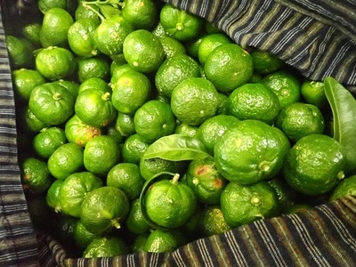 皮ごとシークワーサー果汁100％（300ml×３本セット）調味料 飲料 お酒 数量限定 先行予約【R00359】