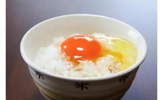 たまごのお店 むこたま［農場たまご］Mサイズ 40個入 定期便10ヶ月