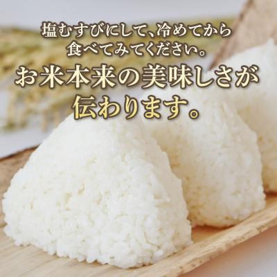 ふるさと納税 焼津市 新米 ミルキークイーン あきの掬び 5kg×1袋(a19-057) |  | 02