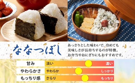 ななつぼし 北海道産 特A 精米【5kg×2袋 計10kg】【R8先行予約】
