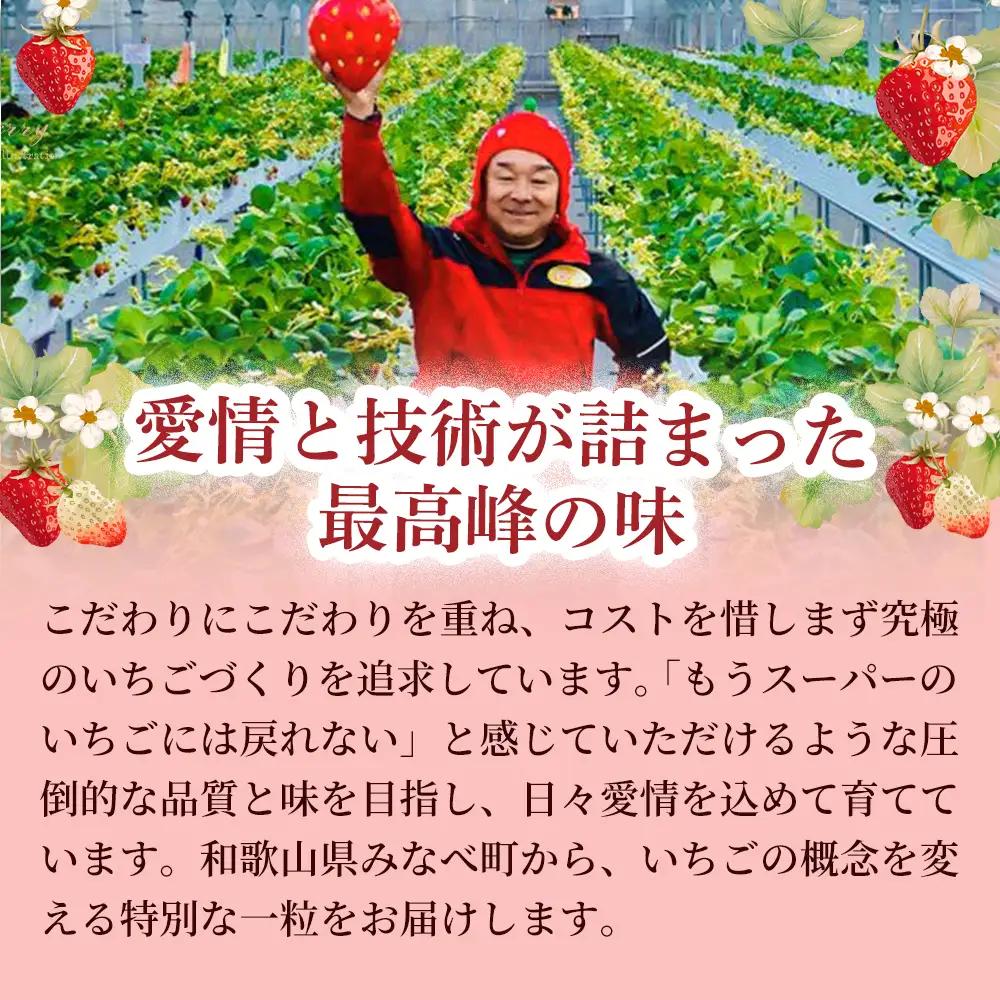 【体験】 【開催期間 2027年1月1日～5月7日】 オリジナルいちごと人気ブランドいちごの食べ比べ いちご狩り体験チケット ( 4名様分) ＋お土産いちご4パック付き【maato009】