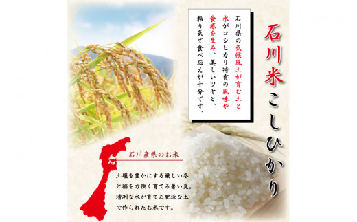 米 定期便 石川米 こしひかり【穂立】5kg×12回 総計60kg [中橋商事 石川県 宝達志水町 38600814]コシヒカリ お米 コメ 12ヶ月 白米 精米 おこめ こめ