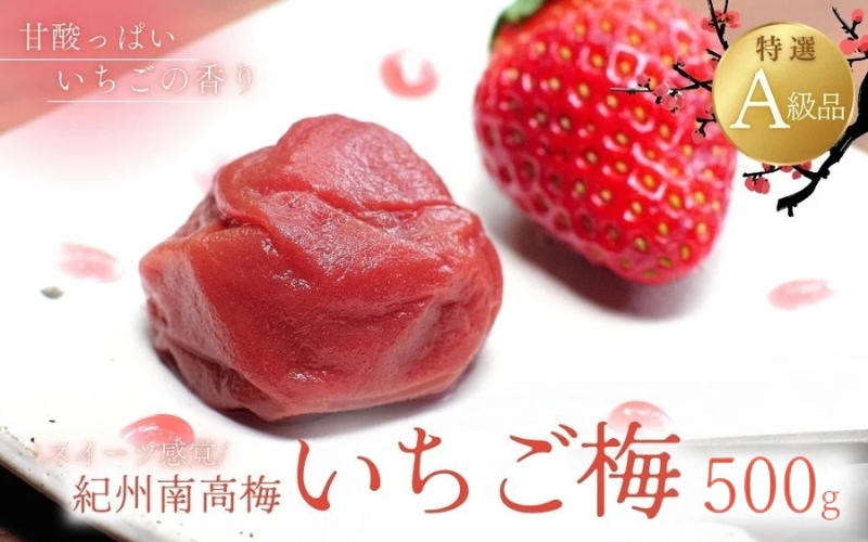 紀州南高梅 いちご梅 500g  / 紀州南高梅 南高梅 梅干し 梅干 梅 うめ 和歌山 田辺市 肉厚 お米 おにぎり 焼酎 梅酒 健康 いちご梅 産地直送【nkn008-3】