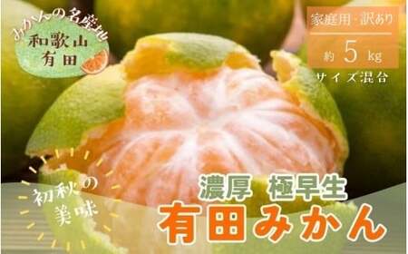 【初秋の美味】有田育ちのご家庭用訳ありゆら早生有田みかん 5kg【サイズ混合】【2025年10月上旬～10月下旬頃順次発送予定】※北海道・沖縄・離島配送不可 / みかん 果物 くだもの フルーツ 有田みかん 柑橘【ard237】