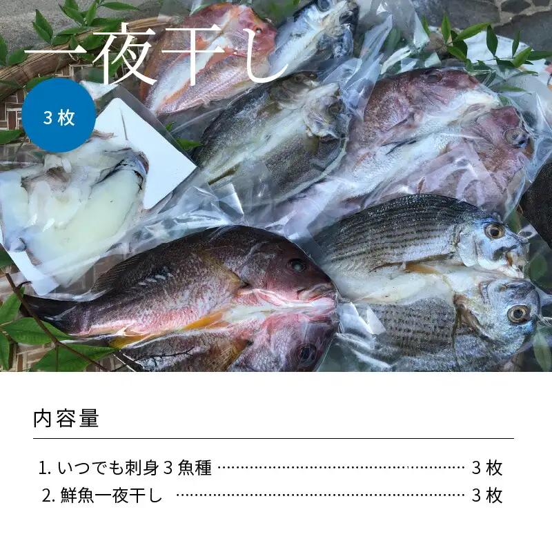 S059-005A_いつでも刺身 3魚種 3枚＆鮮魚一夜干し 3枚セット / 鮮魚 刺し身 お刺身 刺身 干物