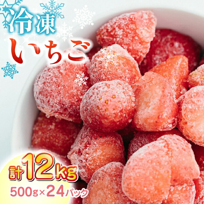 【ふるさと納税】【数量限定】 冷凍 いちご 計12kg ( 500g × 24P ) 農園直送 産地直送 熊本県産 山都町産 イチゴ 苺 ストロベリー フルーツ 果物 【なかはた農園】[YBI006]