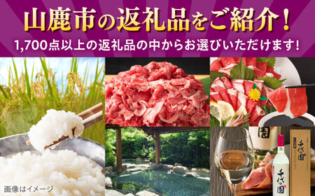 【あとから選べる】山鹿市ふるさとギフト　100万円分 米 牛肉　豚肉 馬刺し くまもと黒毛和牛 定期便 山鹿[ZEC032]
